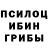 Галлюциногенные грибы Psilocybe Nini Abuladze