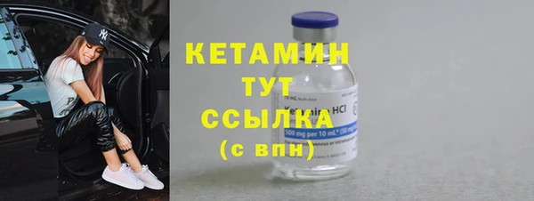 индика Каменка