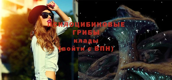 прущий лед Абаза