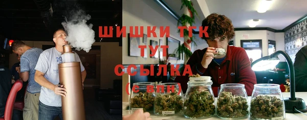 прущий лед Абаза